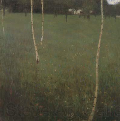 Gustav Klimt Farmhouse with Birch Trees (mk20) Spain oil painting art